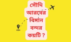 সৌদি আরবের বিমান বন্দর কয়টি